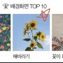 오늘 네이버 감성충전 <지금인기짱> 꽃 배경화면 TOP 10