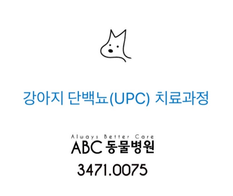[서초동ABC동물병원] 강아지 단백뇨(UPC) 약물 치료과정 서초구 교대 강남역 동물병원 : 네이버 블로그