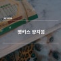 강아지 치아관리 브러싱 섬유 펫키스 식후 양치껌 기호성도 좋네