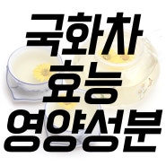 국화차 효능과 영양성분, 부작용까지 알고 마시자!