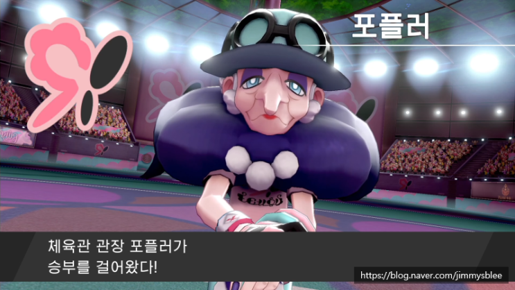 포켓몬스터 소드 / 실드 공략 7화 - 루미너스메이즈숲, 다섯번째 체육관 : 네이버 블로그