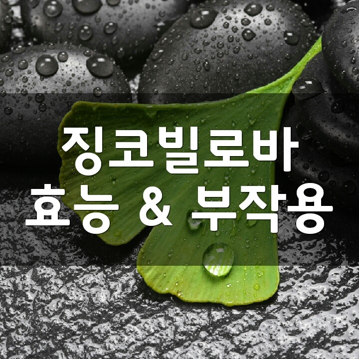 징코빌로바 (Ginkgo Biloba, 은행잎 추출물) 효능, 부작용, 권장량, 제품 순위 : 네이버 블로그