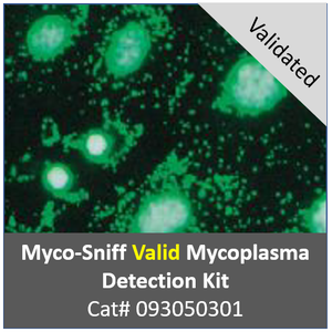 [메뉴얼] Myco-Sniff Valid Mycoplasma PCR Detection Kit : 네이버 블로그