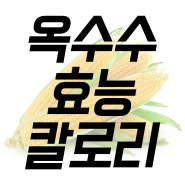 옥수수 효능과 칼로리, 영양성분 알고 먹으면 좋습니다.