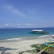 다이버들의 천국 필리핀 민도르 섬에 다녀왔습니다.