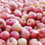 맛있는 흠과 사과를 활용한 사과찌짐이 부침개