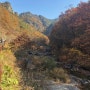 청송 가볼만한곳 - 가을의 대표명소 '주왕산'을 다녀오다