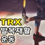 발목 통증 "TRX 발목 재활 운동" - 양재동 PT 피티랩