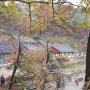 2019년 11월 19일 충남 홍성 용봉산