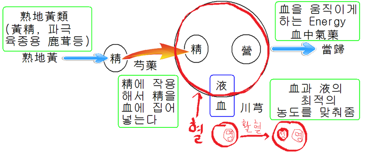 간청소란? 간의 소설 疏泄작용!!! : 네이버 블로그