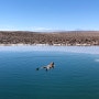 칠레 아타카마 렌트투어 ( 소금 호수 & 달의 계곡)