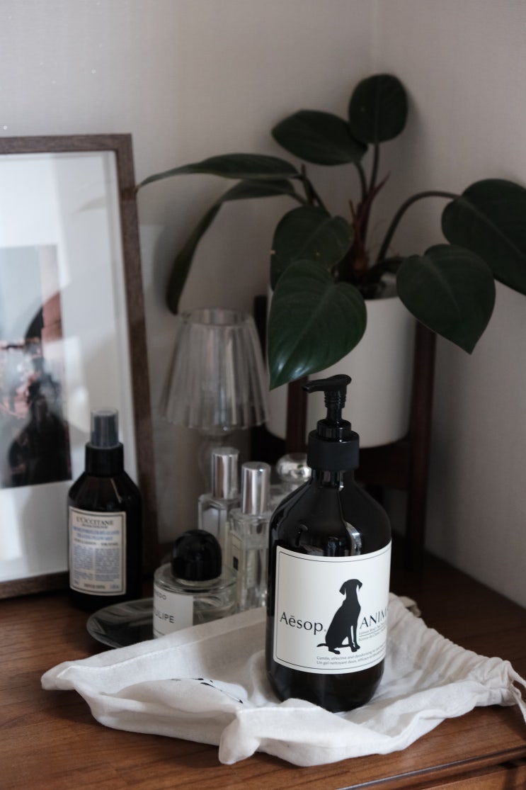 이솝 애니멀 샴푸, Aesop Animal shampoo / 강아지샴푸추천 네이버 블로그