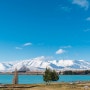 뉴질랜드 여행; 레이크테카포 여행, 미치게 멋진 테카포 사진