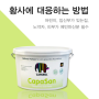 친환경페인트자재 추천 카파롤 카파산 12.5리터 공기정화 광촉매효과 제품