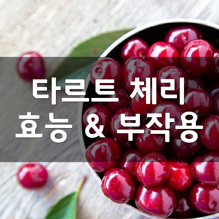 타르트 체리 (Tart Cherry) 효능, 부작용, 권장량, 제품 순위 : 네이버 블로그
