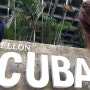 쿠바 아바나를 여행하다 - 쿠바의 사기꾼