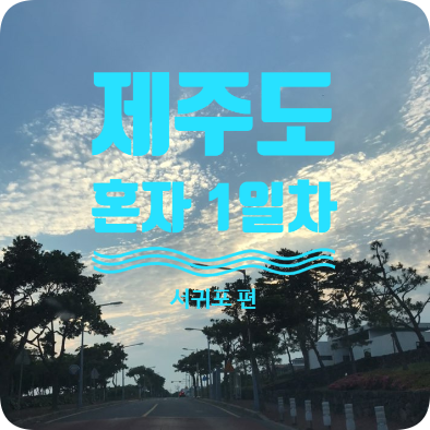 혼자 제주도 여행 : 1일차! 김포공항,현대렌트카,서귀포 빠레브호텔&조이다이브 : 네이버 블로그
