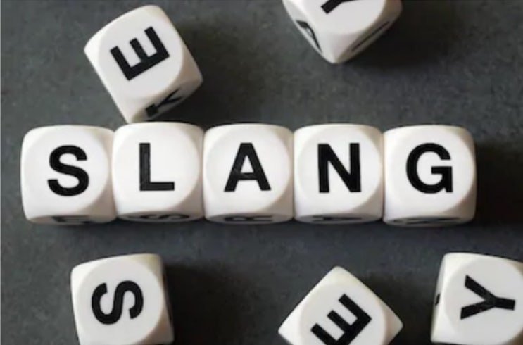 영어회화학습 필수! Slang(속어)사전 사이트 추천 : 네이버 블로그