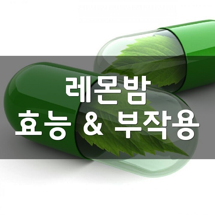 레몬밤 (Lemon Balm) 효능, 부작용, 권장량, 제품 순위 : 네이버 블로그