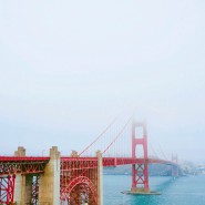 [미국 서부 여행] 샌프란시스코를 대표하는 다리 # 금문교