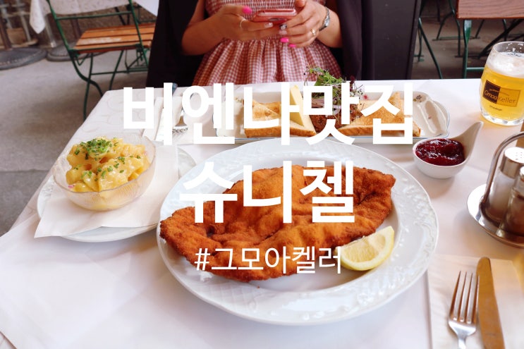 [동유럽] 51. 비엔나 현지인 맛집 GMOA KELLER(그모아켈러)/슈니첼 타르....