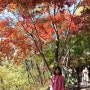 함안 입곡군립공원 단풍구경