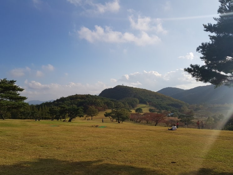 경주 가볼만한 곳 캠핑클럽 촬영지 화랑의 언덕 네이버 블로그