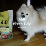 ANF 6Free Gold : 비우의 최애 강아지사료 ANF에서 신제품 출시하자마자 급여해보았어요:)