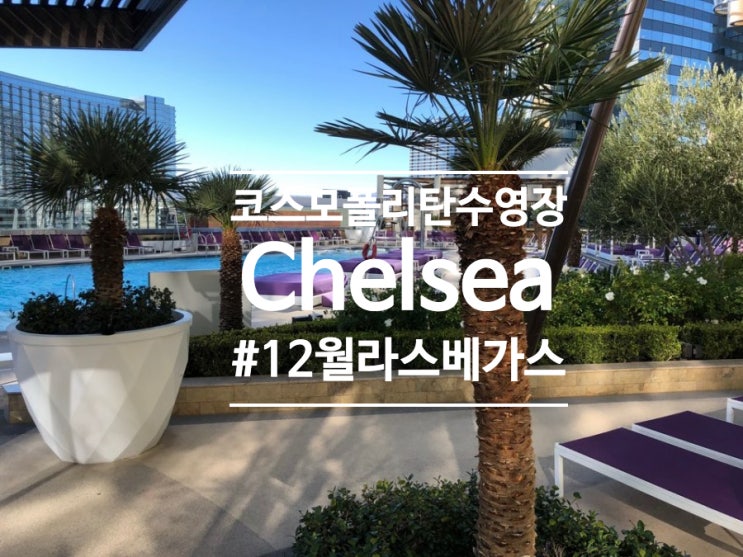 [12월 라스베가스] 코스모폴리탄 야외풀 The Chelsea Pool 겨울에도 수영장 오픈! : 네이버 블로그