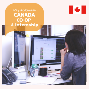 2020 캐나다 워홀말고 캐나다 인턴십 도전하기! : 코업비자, 캐나다 해외취업에 대해 파헤쳐보자 :)