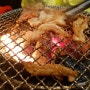 [도쿄/신오쿠보 맛집] 곱창 닭목살 맛집 오발탄