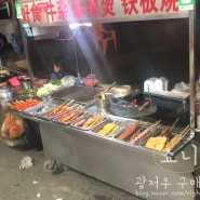 중국 광동 지역 길거리 음식 소개