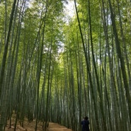 부산 1박 2일 여행, 부산가볼만한곳, 해동용궁사,아홉산숲,오륙도스카이워크,광안대교,광안리해수욕장,더베이101,부산여행1일차 - 1