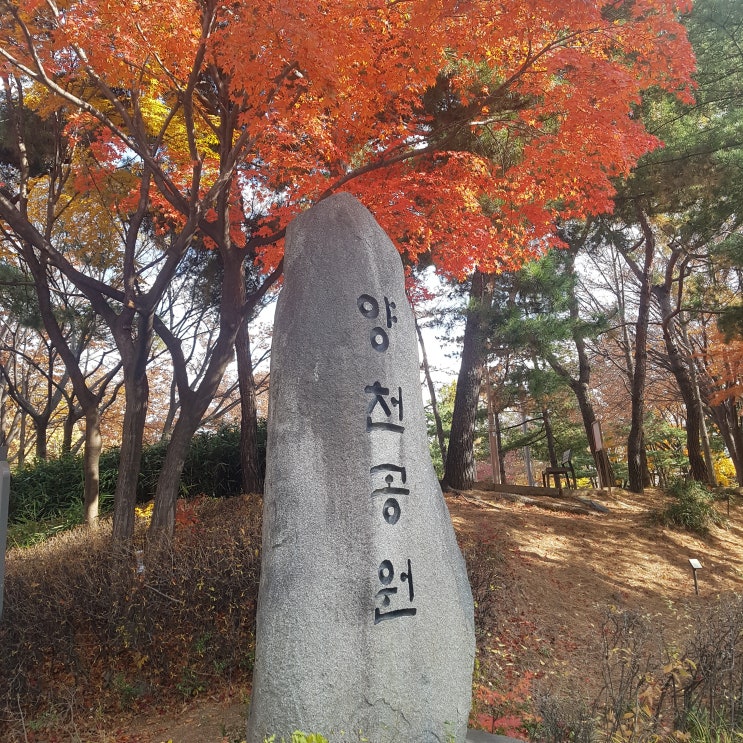 [양천구가볼만한곳] 양천공원 :: 통합놀이터, 키지트