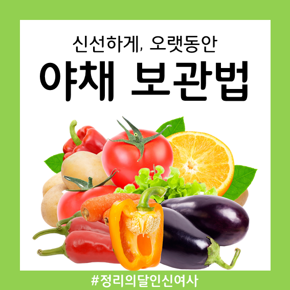 신선하게 오래 먹을 수 있는 야채 보관법 알아봐요! : 네이버 블로그