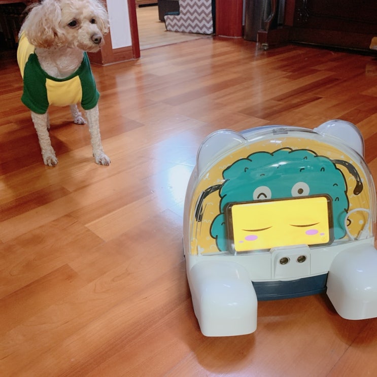 https://m.blog.naver.com/dmsgp361/221730813350