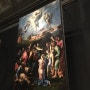 이탈리아 여행기 - 여덟째 날 1 (바티칸 시국 - 바티칸 미술관)