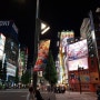일본 도쿄 여행기 9일차 - 아키하바라 쇼핑 (2)