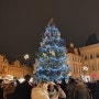 체코 프라하 여행 12월 날씨, 옷차림, 유럽 유심, 숙소, 크리스마스마켓, 베를린에서 프라하 플릭스버스