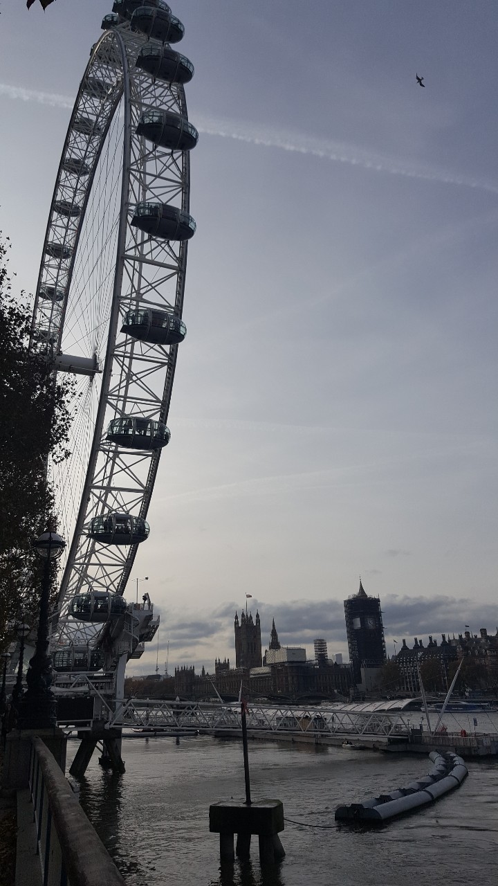 영국 런던아이 London Eye 예약방법, 가격, 후기 및 팁 : 네이버 블로그