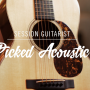 NI - Session Guitarist Picked Acoustic 출시