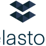 엘라스토스(Elastos) 프로젝트 분석