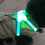 강아지 하네스 :: 녹스기어 LED 하네스