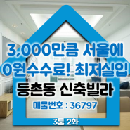 [오투오빌] 3,000으로 서울에~! 등촌동신축빌라