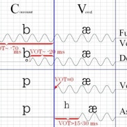 VOT(Voice Onset Time) 성대진동 시작 시간