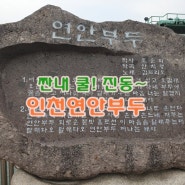 인천 연안부두 밴댕이회 맛집 해촌식당~나대로 맛집 탐방