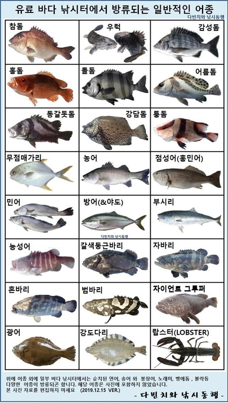 바다 물고기 이름