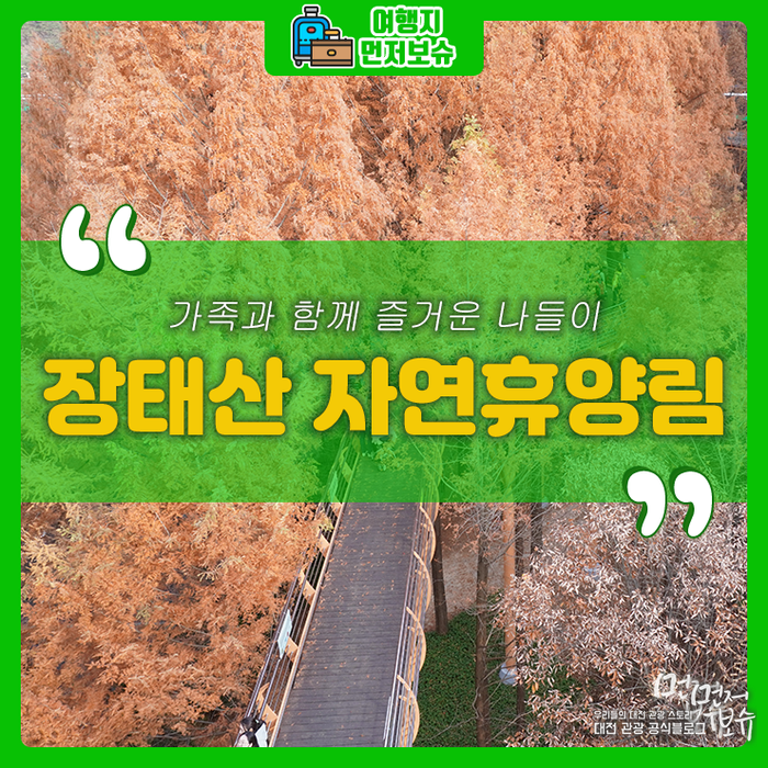 대전 가족나들이 장태산 자연휴양림에서 힐링 하세요!