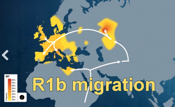 하플로그룹 Haplogroup R1b (Y-DNA) Celtic 갑경축체질 : 네이버 블로그