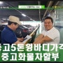 중고5톤윙바디가격 디젤트럭에서 완전 미친가격~~ 포항화물차